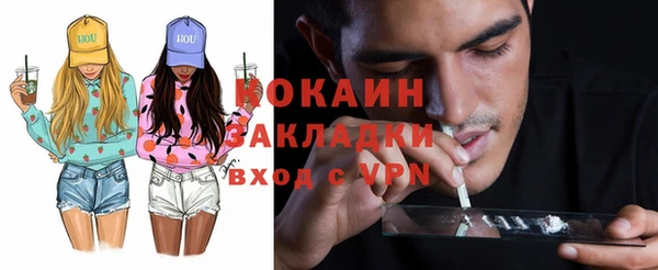 индика Абаза