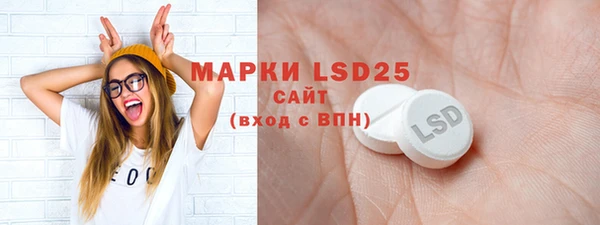 индика Абаза