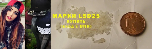 индика Абаза