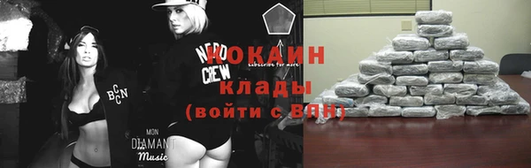 индика Абаза