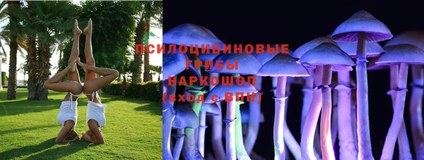 метадон Нея